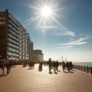 Image of Apartment Hertstraat