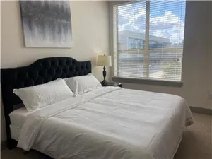 Image of Resort Style Apartments in Spring, TX