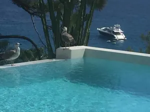 Image of Villa Mael