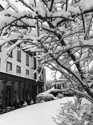 Image of Le Grand Hôtel Mont Dore
