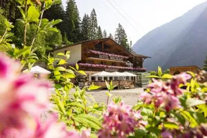 Image of Hotel Waldcafe