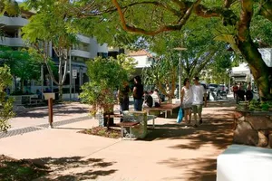Image of Low Tide on Noosa Sound - Pet Friendly