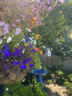 Image of Soul Vie Stay