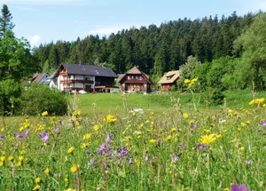 Image of Landhaus Anja