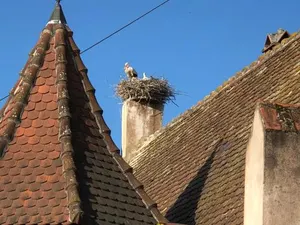 Image of Le Grenier Des Arômes Au Domaine Wittmann