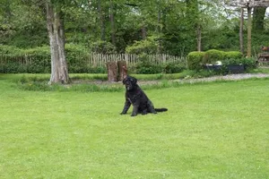 Image of Huize Koempoelan