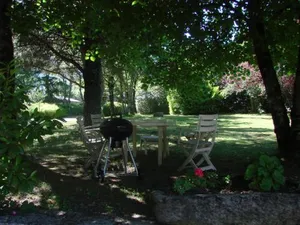 Image of Timali
