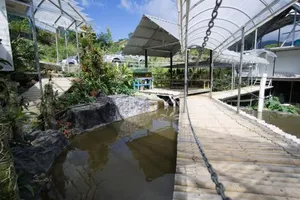 Image of Amazing Grace Lodge