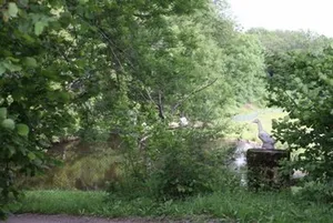 Image of Voler Avec les Oiseaux