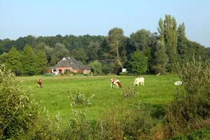 Image of Aan het Diepje