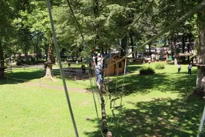 Image of Les 3 Ours