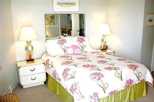 Image of Jamaican Sun