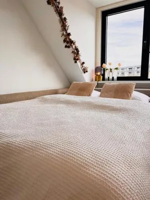 Image of Catharine Suite