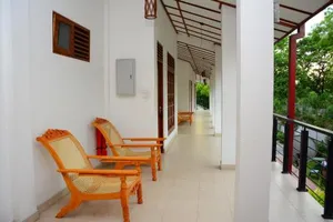 Image of Royal Nest