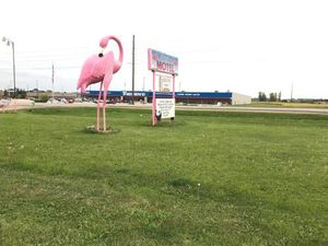 Image of Flamingo Motel Marshalltown