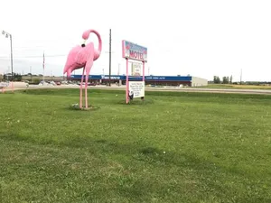 Image of Flamingo Motel