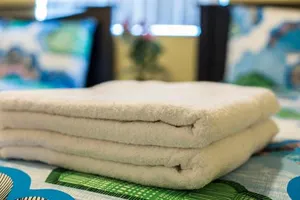 Image of Los Angeles Vacation Rooms