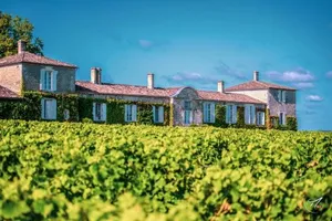 Image of Château d'Arche, Grand Cru Classé de Sauternes