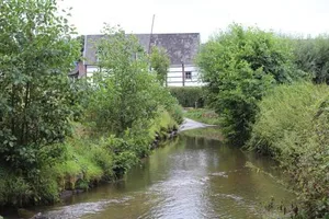 Image of B&B Von Clermont Park