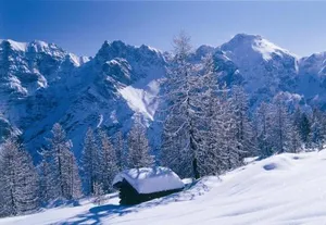 Image of Appartement Pavillon