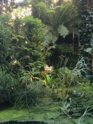 Image of Garden Suite Centre