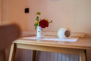 Image of Apartment Mitterdorfer