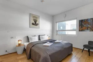 Image of Baldursbrá Apartment Laugavegur