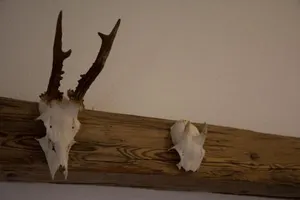 Image of Bramsauerhof