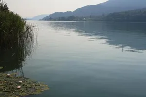 Image of Haus Babin