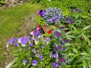 Image of Kountry Living Bed and Breakfast