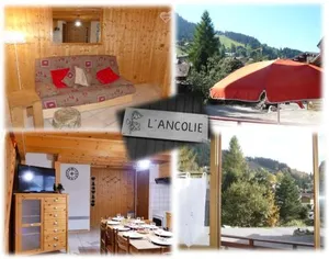 Image of Demi-Chalet l'Ancolie -- Prox pistes