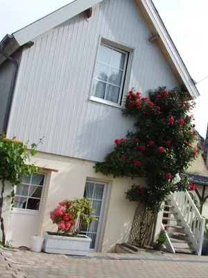 Image of Gite les Orchidées