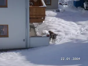 Image of Haus Sonnleiten