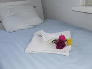 Image of De Viool Appartementen