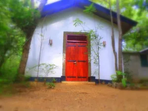 Image of Grand freedom