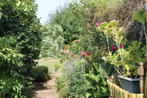 Image of Chambre d'Hôtes "Orchidees"