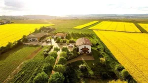 Image of BioWeingut & Landhotel Gänz