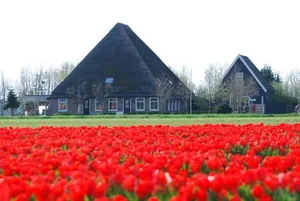 Image of B&B Idylle aan Zee incl 2 Wellnessstudios