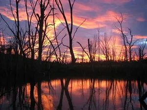 Image of Lake Monduran Holiday Park