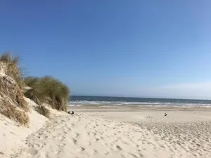 Image of Effe Wad