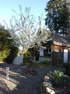Image of Maison Bois "Alaska"