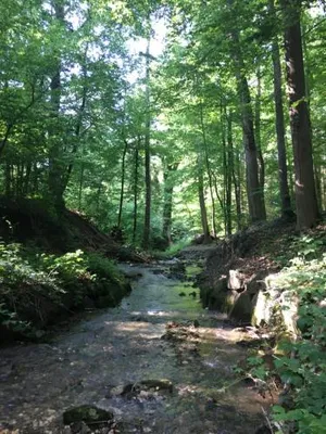 Image of Boutique-Pension seeherberge