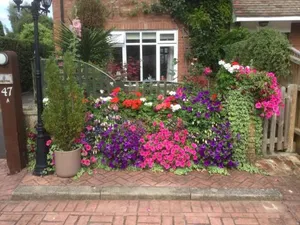 Image of Albertine ,A warm welcome awaits you ,Offering room only or bed and breakfast ,Ideal location for Solent Way ,High Street ,Isle of Wight ,New Forest
