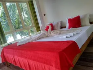 Image of Blue Birds Homestay
