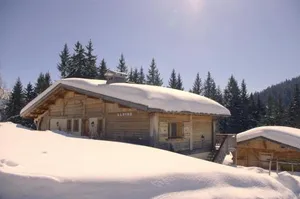 Image of Chalet Alvine