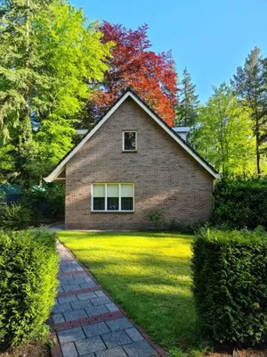Image of Het Roodborstje