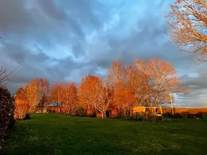 Image of B&B La Niouche