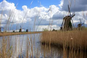 Image of Atelier La Luna