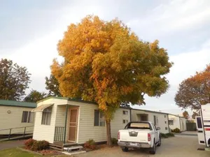 Image of Wodonga Caravan & Cabin Park