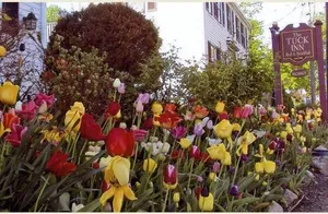 Image of The Tuck Inn Bed & Breakfast
